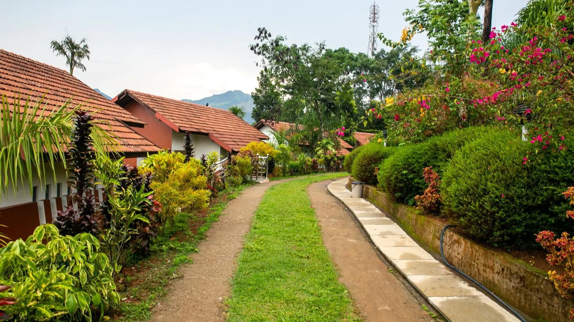 Pranavam Resort & Spa Tariyod